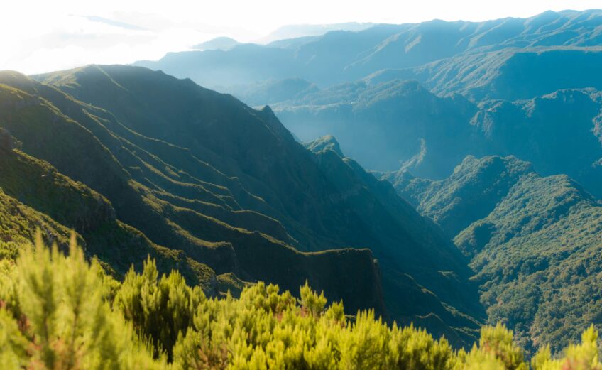 Fly drive vakantie op Madeira: de ideale manier om het bloemeneiland te verkennen