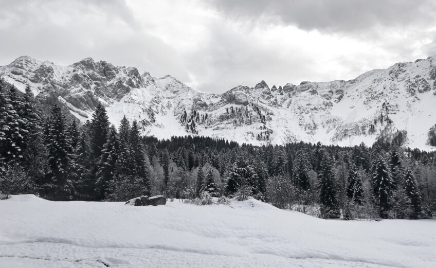 5x Top winterbestemming met sneeuw